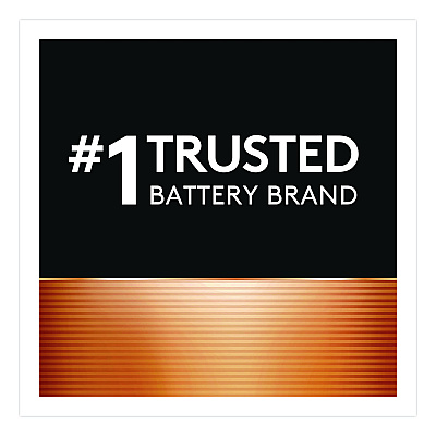 Duracell Power Boost Copper Top Alkaline AA Batteries, 24/Pack (MN1500B240PK)