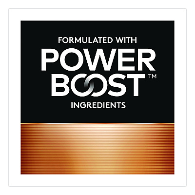 Duracell Power Boost Copper Top Alkaline AA Batteries, 24/Pack (MN1500B240PK)
