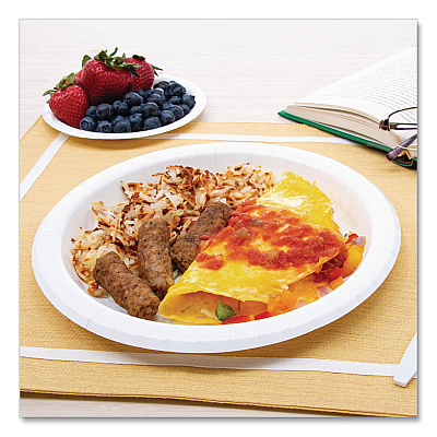 Solo Compostable Paper Dinnerware, ProPlanet Seal, Plate, 10" dia, White, 500/Carton (HP10W)