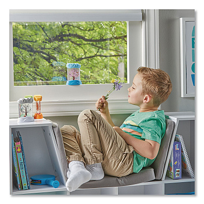 hand2mind Changing Seasons Sensory Tubes, Ages 3 and Up, Assorted Colors, 4 Pieces (95385)