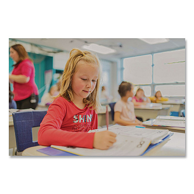 Educational Insights Florescent Light Filter Covers, Square, 2 ft x 4 ft, Whisper White, 4 Panels (1231)