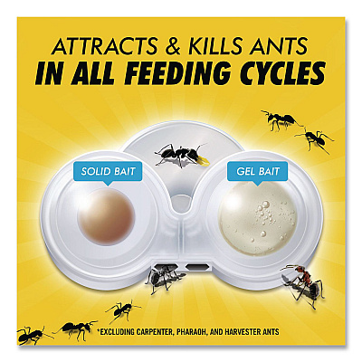 Combat Max 2-in-1 Ant Bait, 0.84 oz, 4 Bait Stations (07172EA)