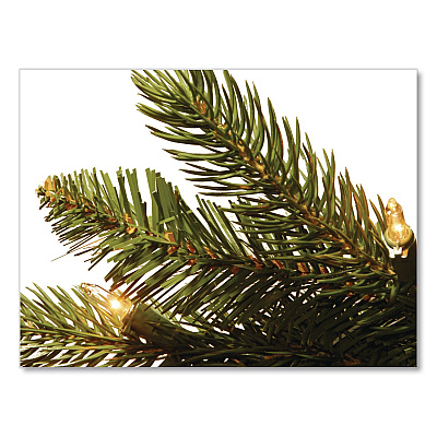 National Tree Company Pre-Lit Grande Fir Pencil Slim Tree, 30" x 30" x 78", Green Tree, Green Tree Stand (PEGF433465)