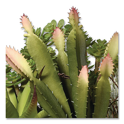 National Tree Company Spring Potted Plant, 8" x 8" x 8", Green Plant, White Pot (RASXF169W)
