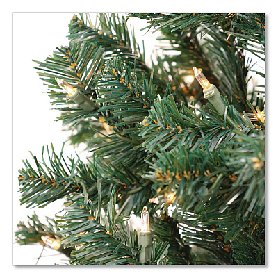 National Tree Company Pre-Lit Acacia Tree, 37" x 37" x 70.8", Green Tree, Green Tree Stand (AC10030860)