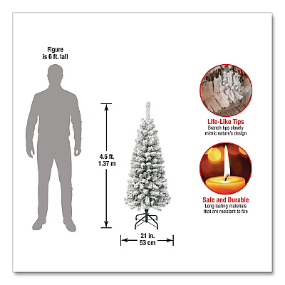 National Tree Company Acacia Pencil Slim Flocked Tree, 21" x 21" x 53.1", Green Tree, Green Tree Stand (AC10050445F)