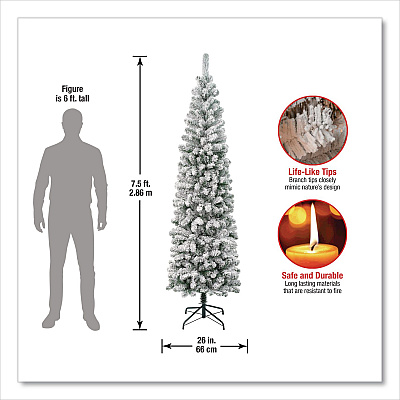 National Tree Company Acacia Pencil Slim Flocked Tree, 26" x 26" x 88.5", Green Tree, Green Tree Stand (AC10050475F)