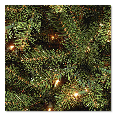 National Tree Company Pre-Lit Aspen Spruce Slim Tree, 38" x 38" x 72", Green Tree, Green Tree Stand (AP730060)