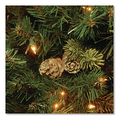National Tree Company Pre-Lit Carolina Pine Tree, 55" x 55" x 78", Green Tree, Green Tree Stand (CAP330665)