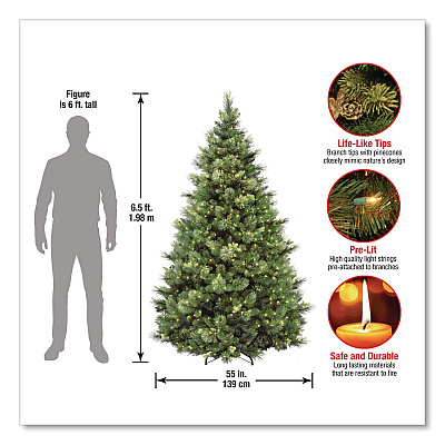 National Tree Company Pre-Lit Carolina Pine Tree, 55" x 55" x 78", Green Tree, Green Tree Stand (CAP330665)