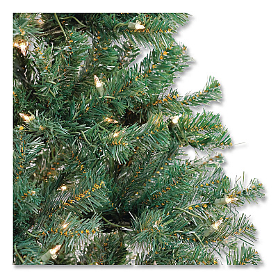National Tree Company Pre-Lit Acacia Tree, 37" x 37" x 70.8", Green Tree, Green Tree Stand (AC10030860)