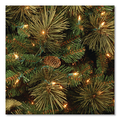 National Tree Company Pre-Lit Carolina Pine Slim Tree, 29" x 29" x 78", Green Tree, Green Tree Stand (CAP333065)