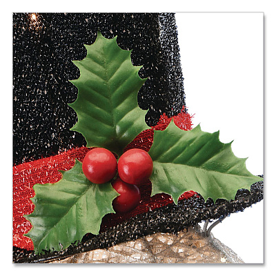 National Tree Company Snowman Decoration, AC Powered, Cool White LED Lights, 13.5" x 27.5" x 48", White (DF070114C)