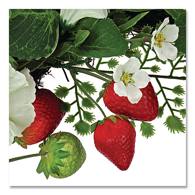 National Tree Company Petunia and Strawberry Wreath,  22" Diameter x 5"h, White (DS69S21G9324)