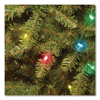 National Tree Company Pre-Lit Dunhill Fir Tree, 59" x 59" x 90", Green Tree, Green Tree Stand (DUH75RLO)