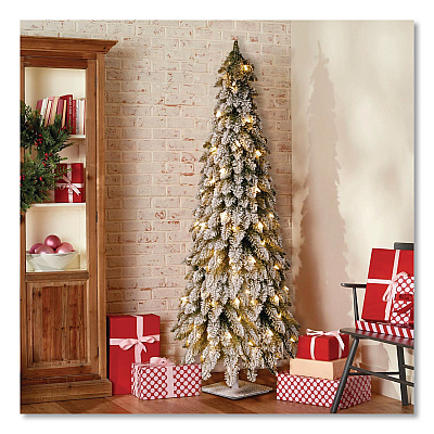 National Tree Company Pre-Lit Snowy Downswept Forest Slim Tree, 19" x 19" x 60", Green Tree, White Square Metal Plate (FTDF160ALO)