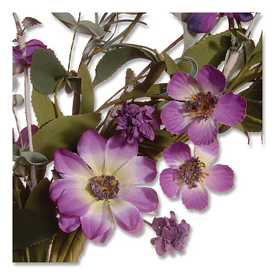 National Tree Company Garden Accents Purple Daisy Wreath, 20" x 3", Purple (GAF3020WDLP)