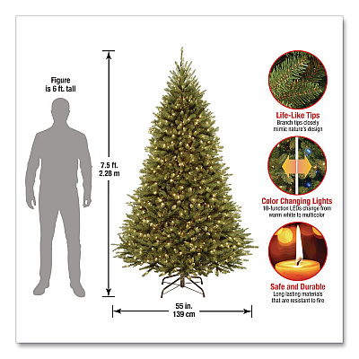 National Tree Company Pre-Lit Kingswood Fir Tree, 55" x 55" x 90", Green Tree, Green Tree Stand (KW7D5375)