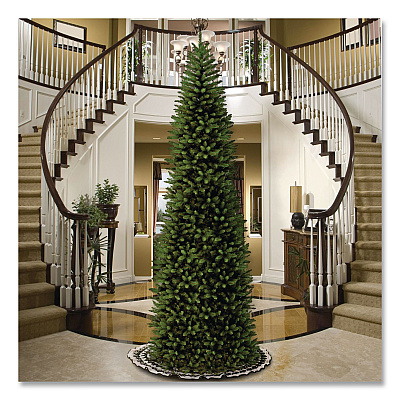National Tree Company Kingswood Fir Pencil Tree, 54" x 54" x 168", Green Tree, Green Tree Stand (KW7500140)