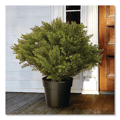 National Tree Company Globe Juniper Topiary Tree, 20" x 28" x 20", Green Tree, Green Pot (LCB828)