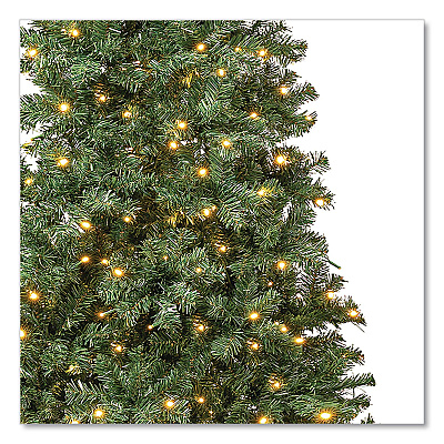 National Tree Company Pre-Lit Linden Spruce Slim Tree, 31" x 31" x 90", Green Tree, Green Tree Stand (LIN8304L75)