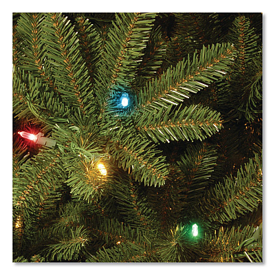 National Tree Company Pre-Lit Natural Fraser Fir Slim Tree, 40" x 40" x 78", Green Tree, Green Tree Stand (NAFFSLH165RL)