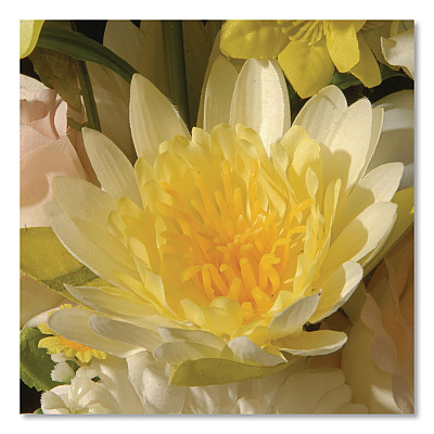 National Tree Company Spring White Daises and Roses Flowerpot, 9" x 9" x 17", White Flowers, White Pot (NF365521)