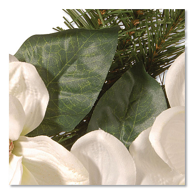 National Tree Company North Valley Spruce Magnolia Wreath, 24" Diameter x 3.5"h, White (NRV71324W)