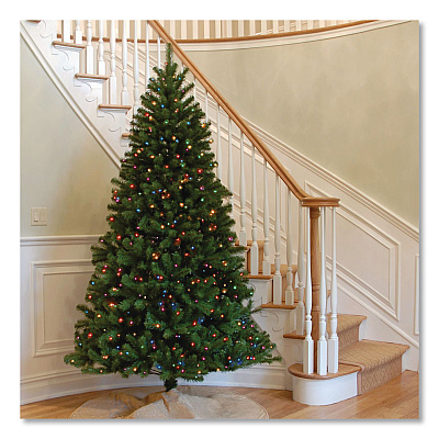 National Tree Company Pre-Lit North Valley Spruce Tree, 47" x 47" x 84", Green Tree, Green Tree Stand (NRV730170)