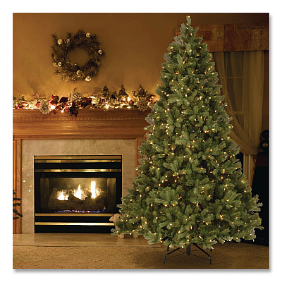 National Tree Company Pre-Lit Downswept Douglas Fir Tree, 49" x 49" x 78", Green Tree, Green Tree Stand (PEDD131265)