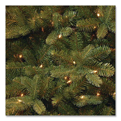 National Tree Company Pre-Lit Downswept Douglas Fir Tree, 59" x 59" x 90", Green Tree, Green Tree Stand (PEDD131275)