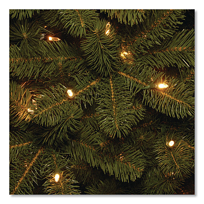National Tree Company Pre-Lit Downswept Douglas Fir Pencil Slim Tree, 30" x 30" x 78", Green Tree, Green Tree Stand (PEDD439265)