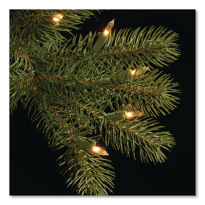 National Tree Company Pre-Lit Downswept Douglas Fir Tree, 92" x 92" x 144", Green Tree, Green Tree Stand (PEDD1312120)