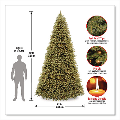 National Tree Company Pre-Lit Downswept Douglas Fir Tree, 92" x 92" x 144", Green Tree, Green Tree Stand (PEDD1312120)