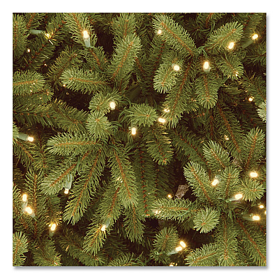 National Tree Company Pre-Lit Grande Fir Pencil Slim Tree, 78" x 78" x 108", Green Tree, Green Tree Stand (PEJF130090)