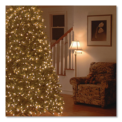 National Tree Company Pre-Lit Jersey Fraser Fir Medium Tree, 56" x 56" x 90", Green Tree, Green Tree Stand (PEJF130275)