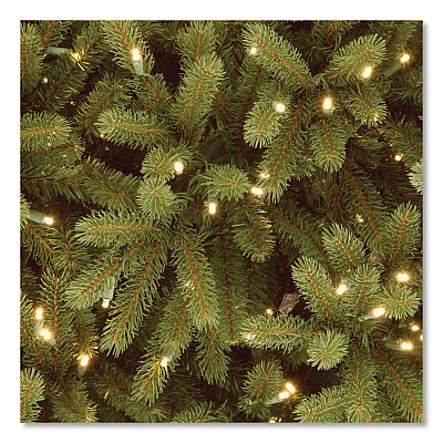 National Tree Company Pre-Lit Jersey Fraser Fir Slim Tree, 57" x 57" x 108", Green Tree, Green Tree Stand (PEJF130490)