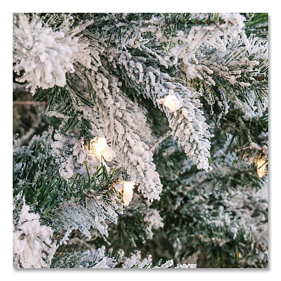 National Tree Company Pre-Lit Snowy Mixed Pine Tree, 44" x 44" x 78", Green Tree, Green Tree Stand (PEMX230265F)