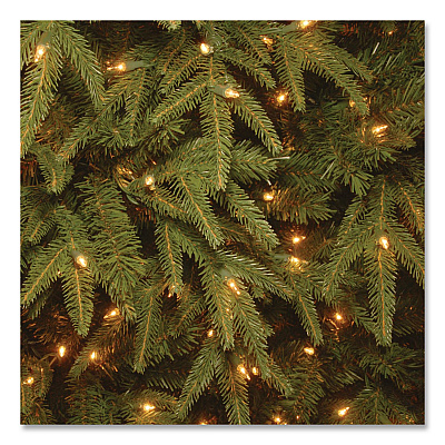 National Tree Company Pre-Lit Northern Fraser Tree, 57" x 57" x 90", Green Tree, Green Tree Stand (PENO430775)