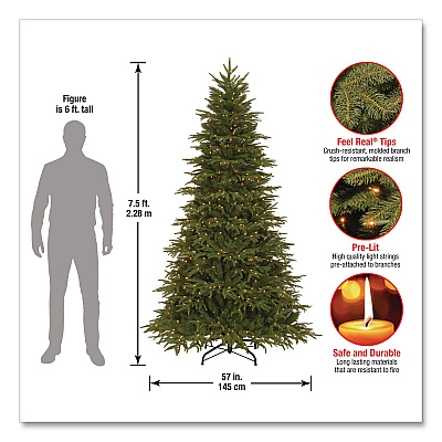 National Tree Company Pre-Lit Northern Fraser Tree, 57" x 57" x 90", Green Tree, Green Tree Stand (PENO430775)
