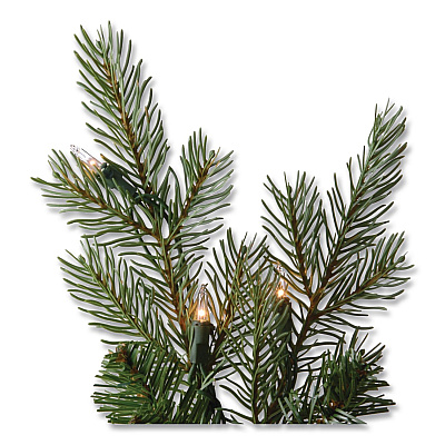 National Tree Company Pre-Lit Nordic Spruce Medium Tree, 69" x 69" x 108", Green Tree, Green Tree Stand (PENS130790)