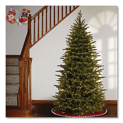 National Tree Company Pre-Lit Nordic Spruce Slim Tree, 44" x 44" x 78", Green Tree, Green Tree Stand (PENS132165)