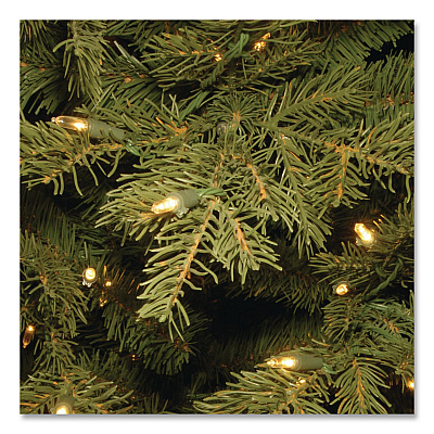 National Tree Company Pre-Lit Nordic Spruce Slim Tree, 44" x 44" x 78", Green Tree, Green Tree Stand (PENS132165)