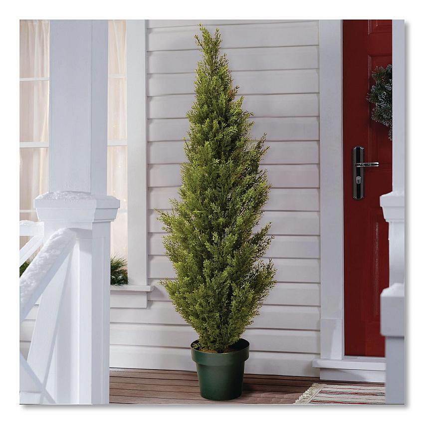 eazyzoom