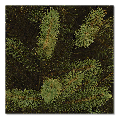 National Tree Company Norway Fir Tree, 58" x 58" x 84", Green Tree, Green Tree Stand (PENF150070)