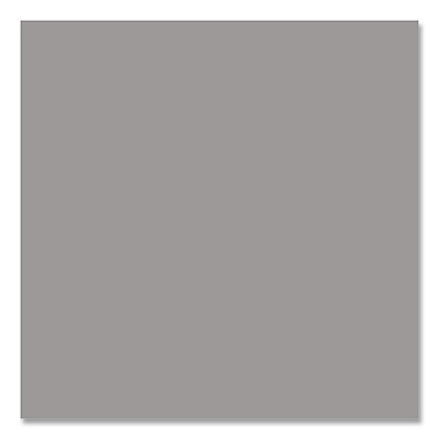 Rust-Oleum Hard Hat High Performance V2100 System Rust Preventive Cold Galvanizing Compound, Flat Gray, 20 oz Aerosol Can, 6/Carton (V2185838CT)