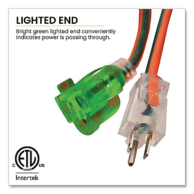 GoGreen Power 14 AWG Lighted End Heavy-Duty Extension Cord, 25 ft, 15 A, Orange/Black (GG13825)
