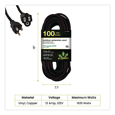 GoGreen Power 14 AWG Heavy-Duty Extension Cord, 100 ft, 13 A, Black (GG13800BK)