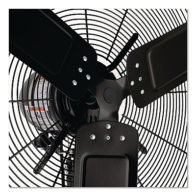 Global Industrial 2 Speed Oscillating Outdoor Rated Wall Mount Fan, 30" (292451)