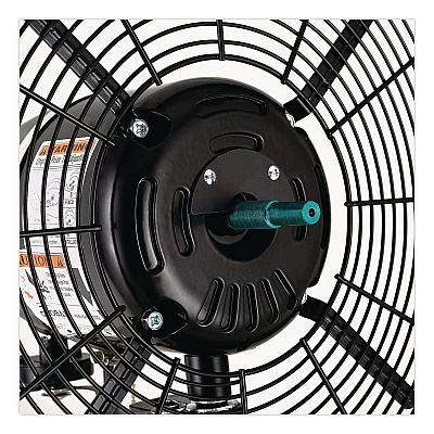 Global Industrial 2 Speed Oscillating Outdoor Rated Wall Mount Fan, 30" (292451)